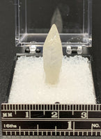 Calcite Dogtooth #2 (India)