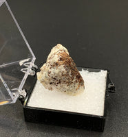 Astrophyllite #7 Thumbnail Specimen (Khibiny Massif, Russia)