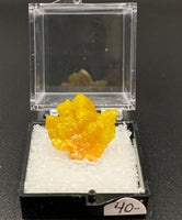 Pyromorphite #6 Thumbnail Specimen (Bunker Hill Mine, Shoshone Co., Idaho)