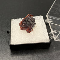 Garnet Spessartine #4 Thumbnail Specimen (Navegadora, Brazil)