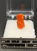 Crocoite #5 (Adelaide Mine, Tasmania)