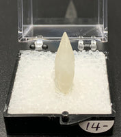 Calcite Dogtooth #5 (India)