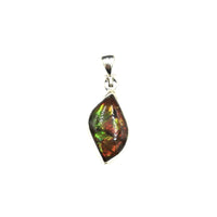 Ammolite Rainbow Fire Fossil Slice Sterling Silver Pendant
