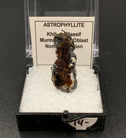 Astrophyllite #3 Thumbnail Specimen (Khibiny Massif, Russia)