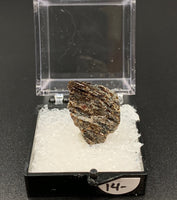 Astrophyllite #1 Thumbnail Specimen (Khibiny Massif, Russia)