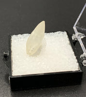 Calcite Dogtooth #5 (India)