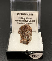 Astrophyllite #8 Thumbnail Specimen (Khibiny Massif, Russia)