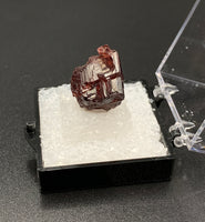 Garnet Spessartine #5 Thumbnail Specimen (Navegadora, Brazil)