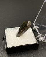 Ammolite #2 Fossil Thumbnail Specimen (Alberta, Canada)