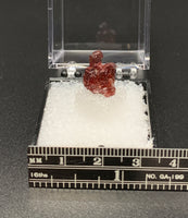 Garnet Spessartine #2 Thumbnail Specimen (Navegadora, Brazil)