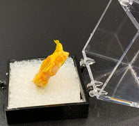 Orpiment #2 Special Care Thumbnail Specimen (Senduchen, Russia)