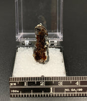 Astrophyllite #3 Thumbnail Specimen (Khibiny Massif, Russia)