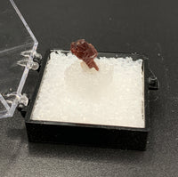 Garnet Spessartine #7 Thumbnail Specimen (Navegadora, Brazil)