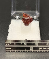 Garnet Spessartine #8 Thumbnail Specimen (Navegadora, Brazil)