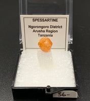 Garnet Spessartine #12 Thumbnail Specimen (Tanzania)
