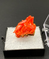 Crocoite #8 (Adelaide Mine, Tasmania)