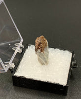 Astrophyllite #11 Thumbnail Specimen (Khibiny Massif, Russia)