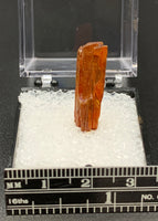 Crocoite #2 (Adelaide Mine, Tasmania)