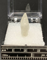 Calcite Dogtooth #4 (India)