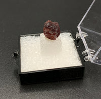 Garnet Spessartine #3 Thumbnail Specimen (Navegadora, Brazil)