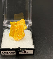 Orpiment #2 Special Care Thumbnail Specimen (Senduchen, Russia)