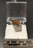 Astrophyllite #11 Thumbnail Specimen (Khibiny Massif, Russia)