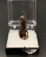 Astrophyllite #3 Thumbnail Specimen (Khibiny Massif, Russia)