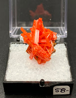 Crocoite #8 (Adelaide Mine, Tasmania)