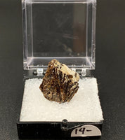 Astrophyllite #4 Thumbnail Specimen (Khibiny Massif, Russia)