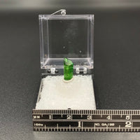 Tourmaline #5 Dravite Bicolored Thumbnail Specimen (Commander Mine, Tanzania)