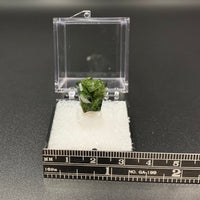 Garnet #2 (Grossular) Thumbnail Specimen (Brazil)