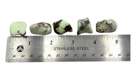 Lemon Chrysoprase (1) Tumbled Stone