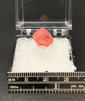 Rhodochrosite #1 Thumbnail Specimen (Sweet Home Mine, CO)