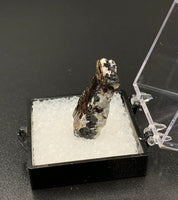 Astrophyllite #3 Thumbnail Specimen (Khibiny Massif, Russia)