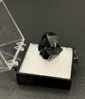 Schorl #4 Black Tourmaline Thumbnail Specimen (Karibib, Erongo, Namibia)
