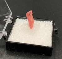 Rhodochrosite #3 Thumbnail Specimen (Sweet Home Mine, CO)