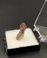 Astrophyllite #8 Thumbnail Specimen (Khibiny Massif, Russia)