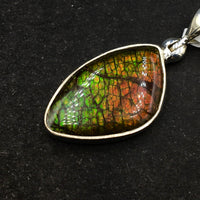 Ammolite Rainbow Fire Fossil Slice Sterling Silver Pendant