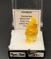 Orpiment #3 Special Care Thumbnail Specimen (Senduchen, Russia)
