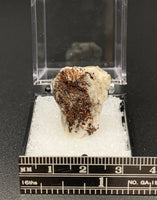 Astrophyllite #7 Thumbnail Specimen (Khibiny Massif, Russia)