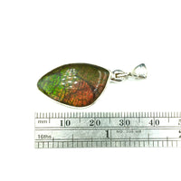 Ammolite Rainbow Fire Fossil Slice Sterling Silver Pendant
