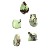 Lemon Chrysoprase (1) Tumbled Stone