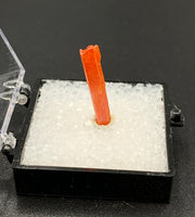 Crocoite #1 (Adelaide Mine, Tasmania)