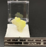 Brucite #9 Thumbnail Specimen (Balochistan, Pakistan)
