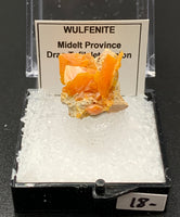 Wulfenite #6 (Midelt Province, Morocco)