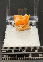 Wulfenite #6 (Midelt Province, Morocco)