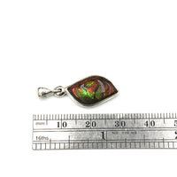 Ammolite Rainbow Fire Fossil Slice Sterling Silver Pendant