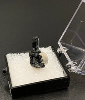 Schorl #9 Black Tourmaline Thumbnail Specimen (Karibib, Erongo, Namibia)