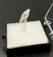 Calcite Dogtooth #3 (India)