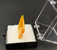 Orpiment #1 Special Care Thumbnail Specimen (Senduchen, Russia)